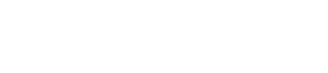 AWS Partner
